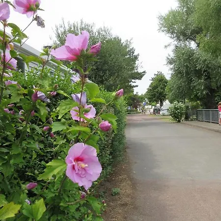 Vacancesocamping Nauzan Plage Campsite